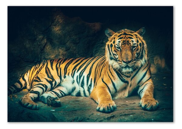 Tablou sticlă Tiger Cave
