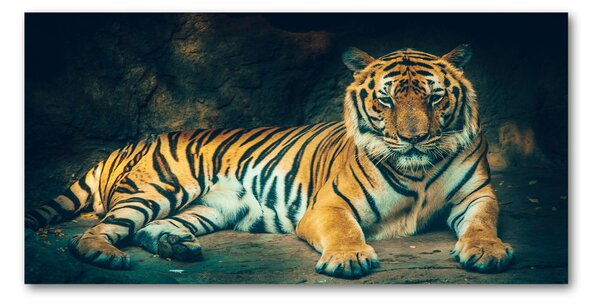 Tablou sticlă Tiger Cave