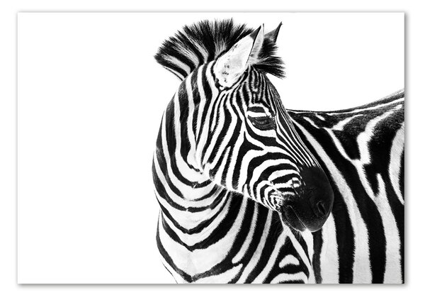 Tablou sticlă Zebra în zăpadă