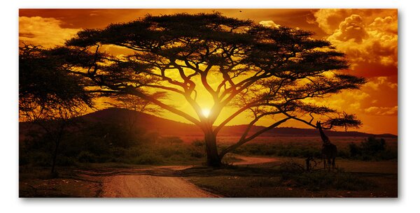Tablou sticlă Africa de Vest