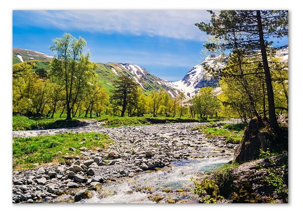 Tablou din Sticlă River în munți