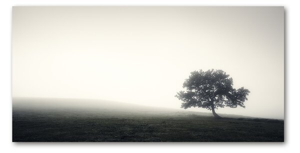 Tablou din Sticlă Lone tree