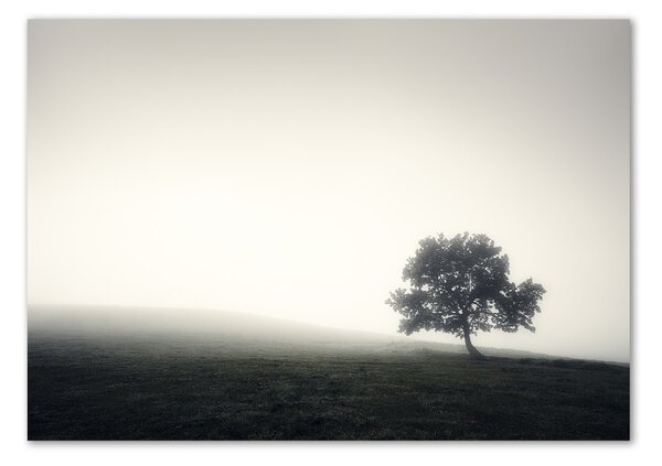 Tablou din Sticlă Lone tree