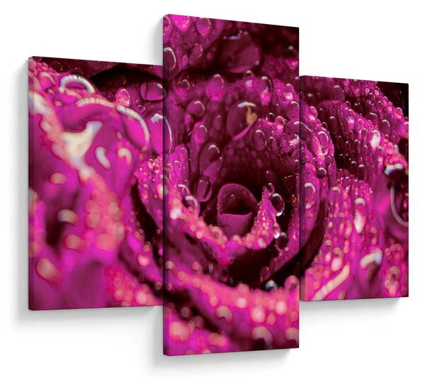 Tabloul cu floarea trandafirului roz (90x60 cm)