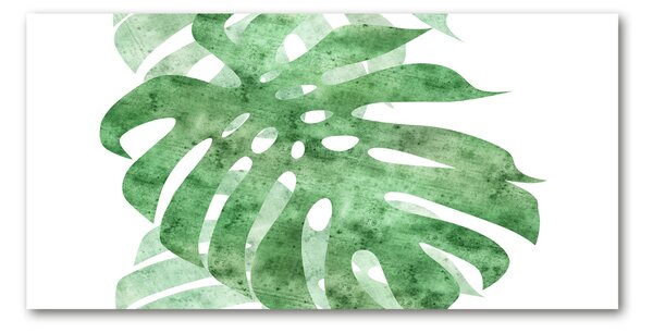 Fotografie imprimată pe sticlă Monstera
