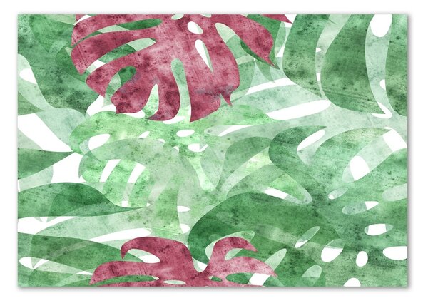 Fotografie imprimată pe sticlă Monstera
