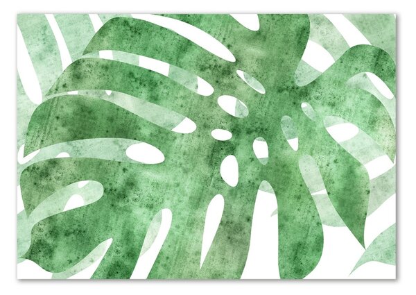 Fotografie imprimată pe sticlă Monstera