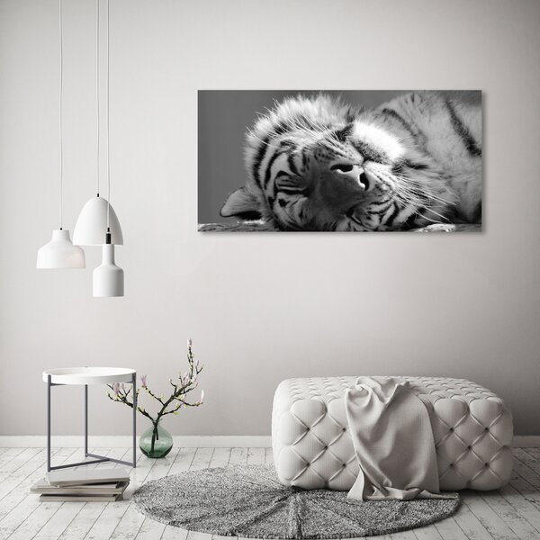 Tablou pe pânză canvas dormit tigru