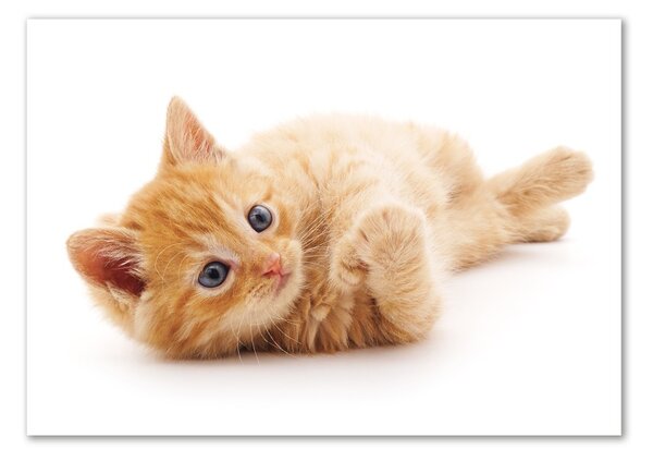 Tablou Printat Pe Sticlă Red Cat