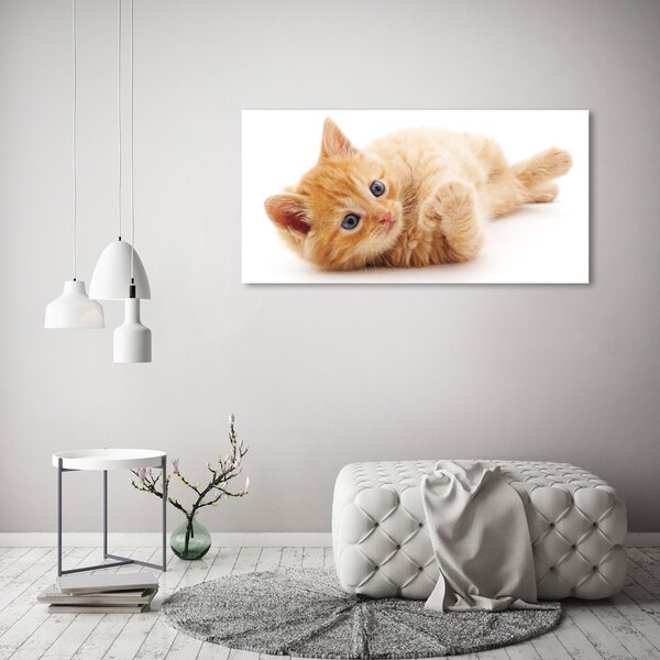 Tablou pe pânză canvas Red Cat