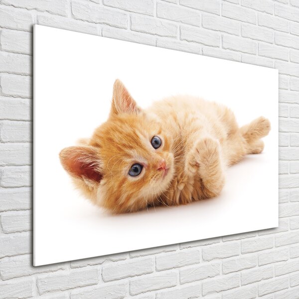 Tablou Printat Pe Sticlă Red Cat