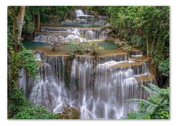 Tablou Printat Pe Sticlă Cascada din pădure
