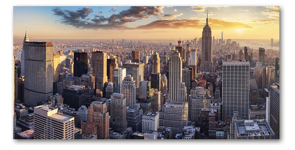 Imagine de sticlă New York pasăre de zbor