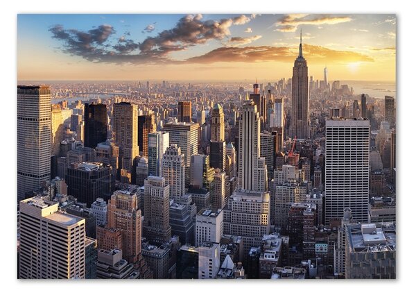 Imagine de sticlă New York pasăre de zbor