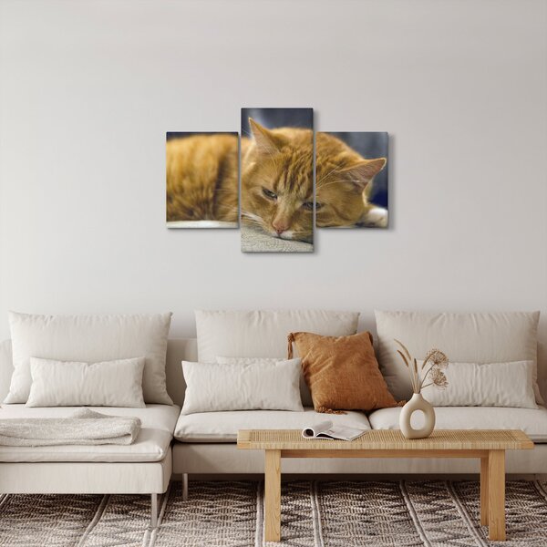 Tablou cu pisica (90x60 cm)