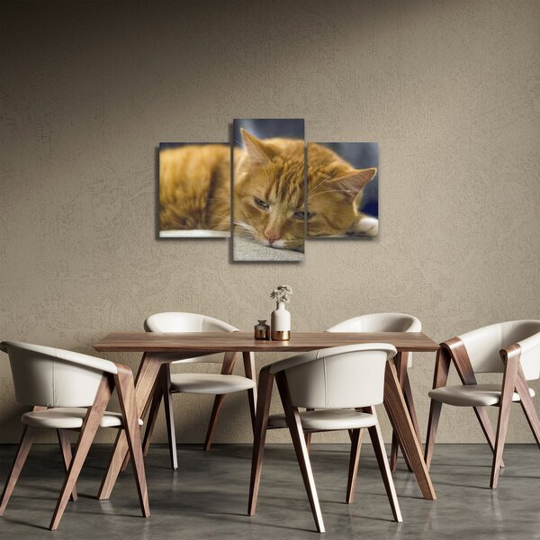 Tablou cu pisica (90x60 cm)