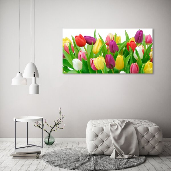 Tablou pe pânză canvas lalele colorate