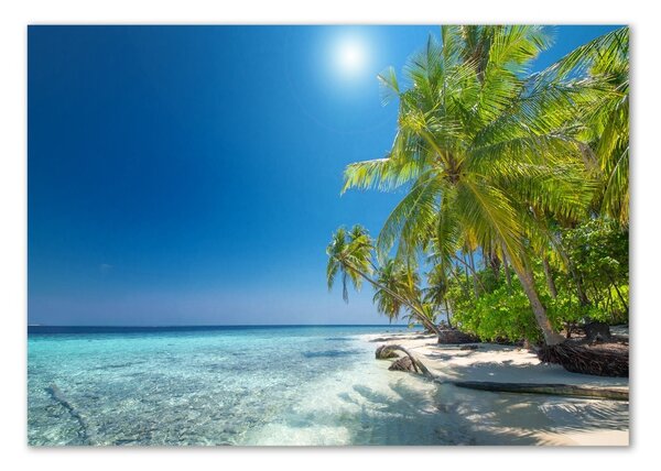 Tablou Printat Pe Sticlă plaja Maldive