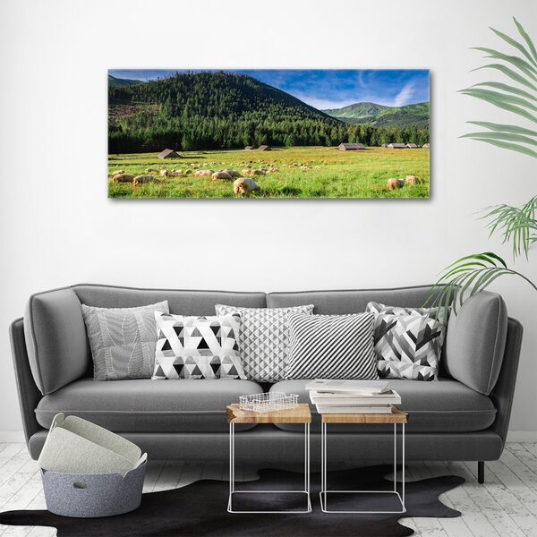 Imprimare tablou canvas Oi în munții Tatra