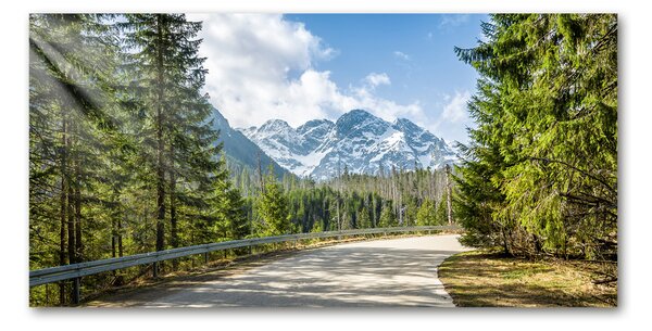 Tablou sticlă Road Tatry