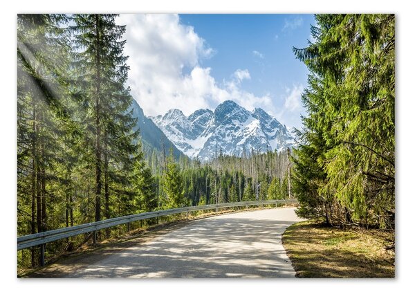 Tablou sticlă Road Tatry
