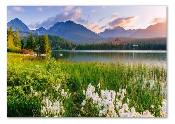 Fotografie imprimată pe sticlă Lacul în munți