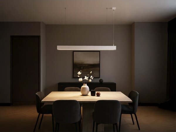 Lustră LED suspendată pe cablu LED/55W/230V 3000/4000/6500K 120 cm albă