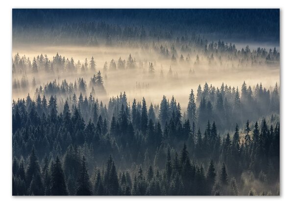 Tablou din Sticlă Ceață peste pădure