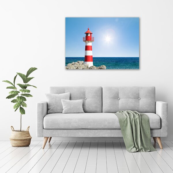 Tablou canvas Far