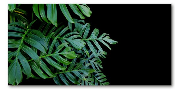 Fotografie imprimată pe sticlă Monstera
