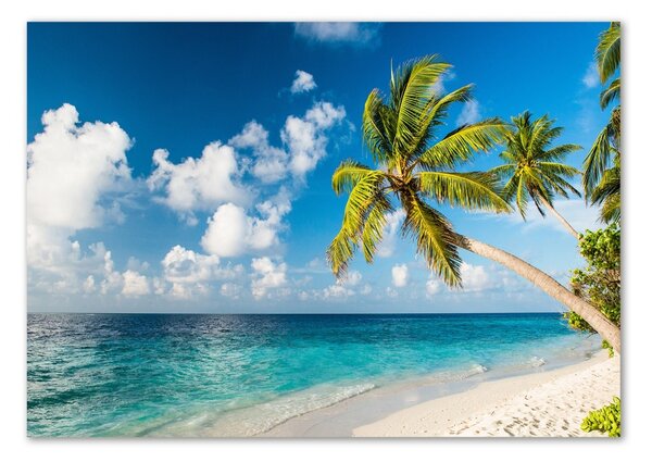 Tablou pe pe sticlă plaja Maldive