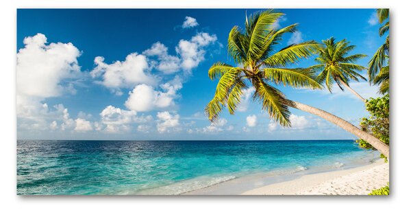 Tablou pe pe sticlă plaja Maldive