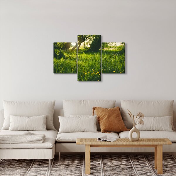 Tablou cu natura - lunca (90x60 cm)