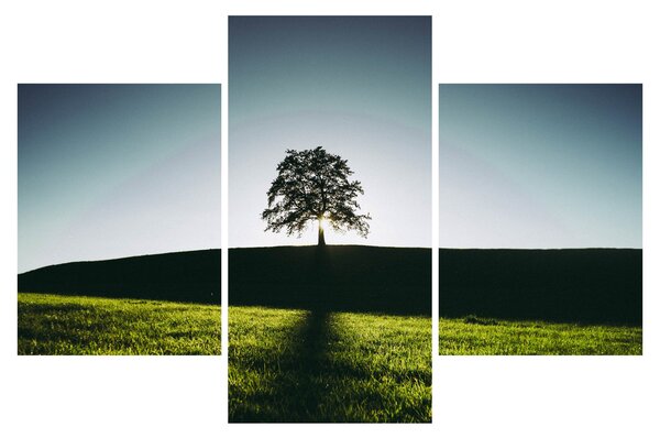 Tablou cu natura - copac (90x60 cm)