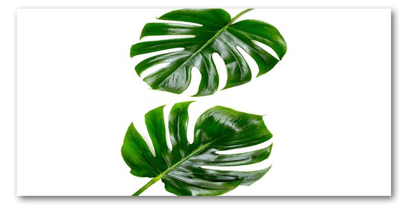 Tablou din Sticlă frunze tropicale