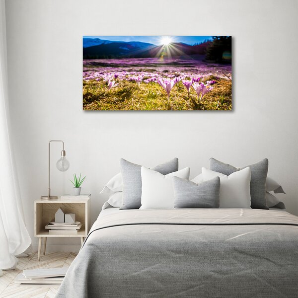 Tablou canvas Branduse în luminiș