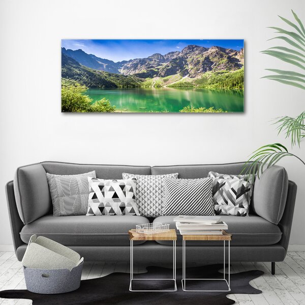 Imprimare tablou canvas Marine ochi Tatry