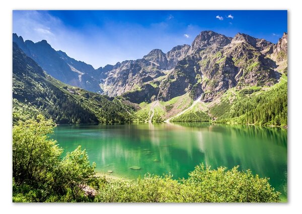 Imagine de sticlă Marine ochi Tatry