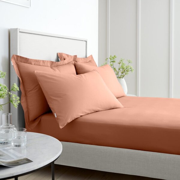 Cearceaf teracotă din bumbac percal cu elastic 90x190 cm Cotton Percale – Bianca