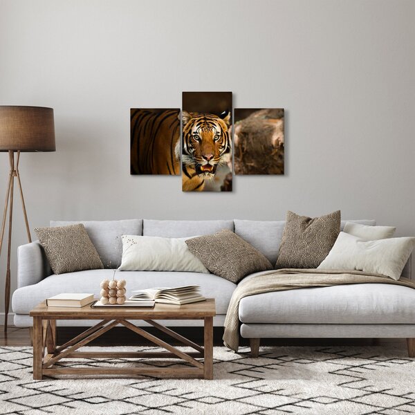 Tablou cu tigrul (90x60 cm)