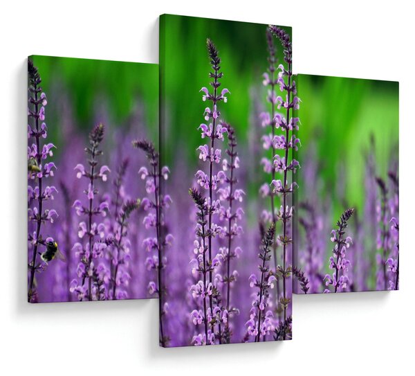Tablou cu flori de luncă violete (90x60 cm)