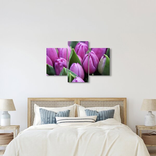 Tablou - florile lalelelor (90x60 cm)