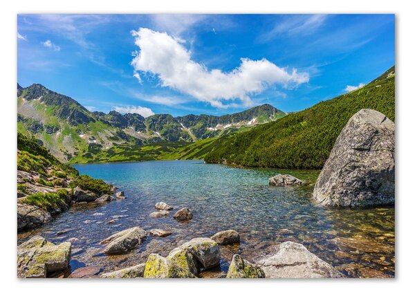 Tablou sticlă Tatra Valley