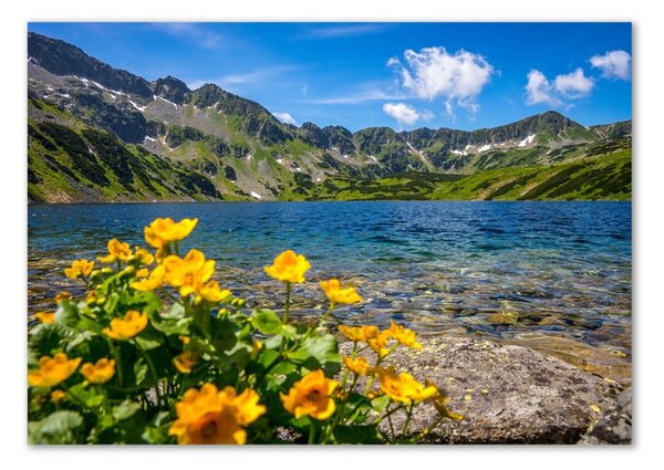 Tablou Printat Pe Sticlă Lacul în munți