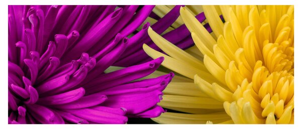 Tablou - detailu cu flori (120x50 cm)