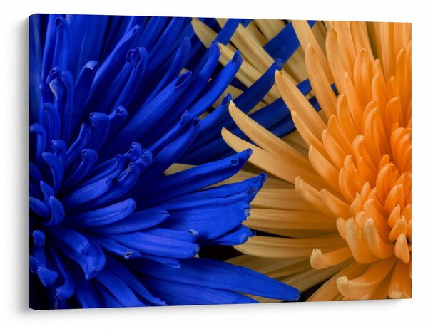 Tablou detailat cu flori (70x50 cm)