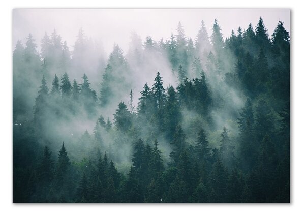 Tablou Printat Pe Sticlă Ceață peste pădure