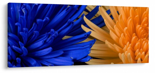 Tablou detailat cu flori (120x50 cm)