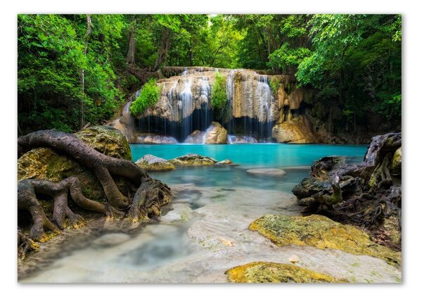 Tablou pe pe sticlă Cascada din pădure