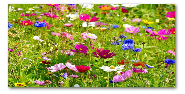 Imagine de sticlă flori de câmp